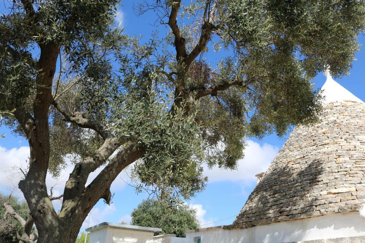 Trulli Alla Controra Conversano Exterior foto